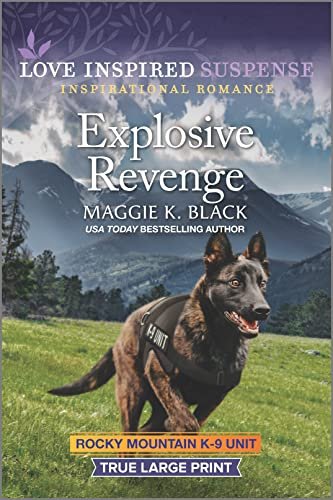 Book cover for "Explosive Revenge" by Maggie K Black