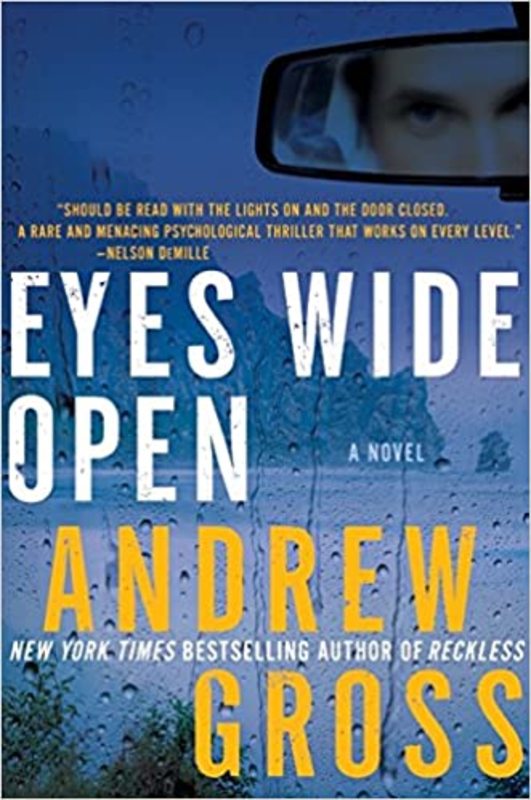 Book cover for "Eyes Wide Open" by Andrew Gross
