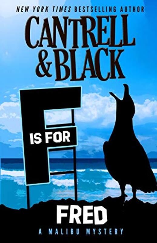 Rebecca Cantrell book cover