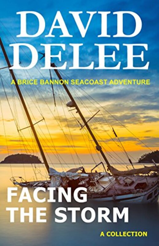 Book cover for "Facing the Storm" by David DeLee