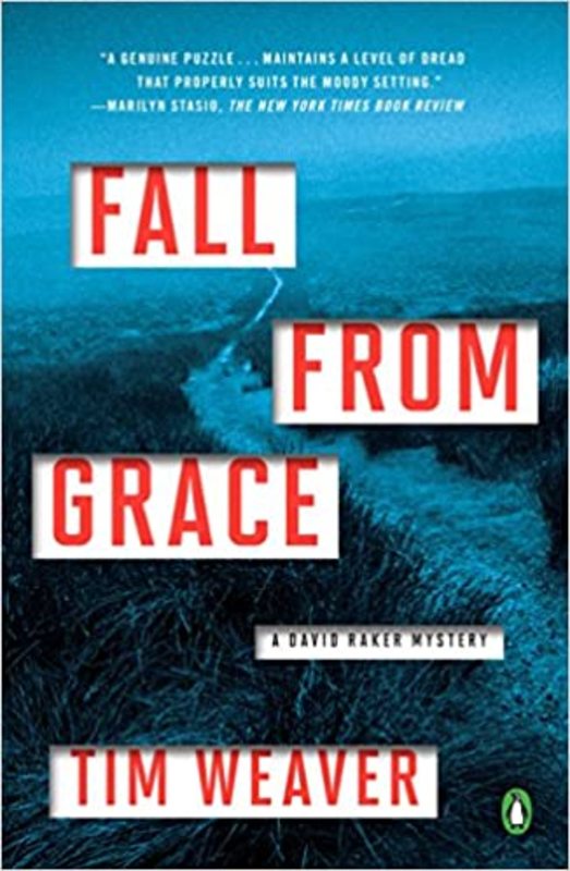 Book cover for "Fall from Grace" by Tim Weaver