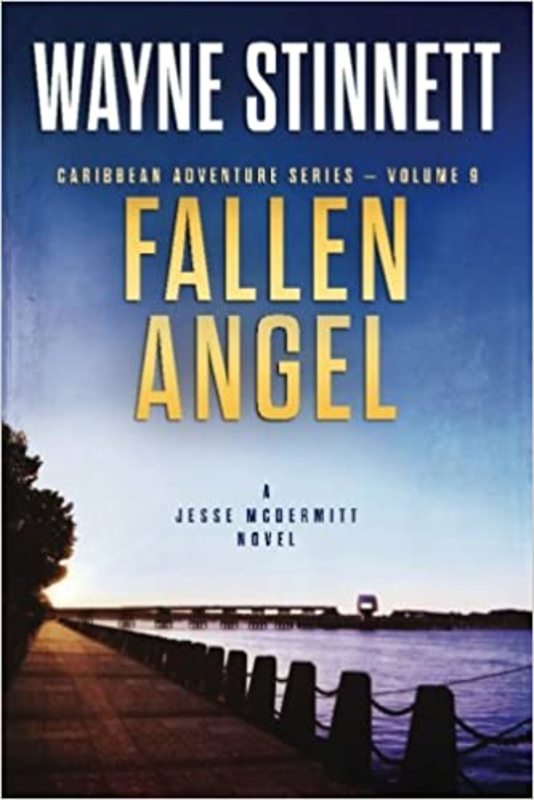 Book cover for "Fallen Angel" by Wayne Stinnett