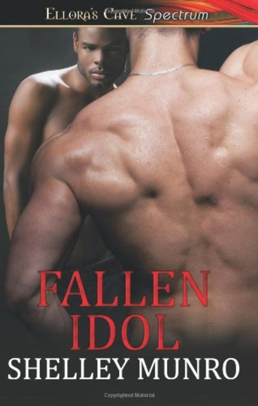Book cover for "Fallen Idol" by Shelley Munro