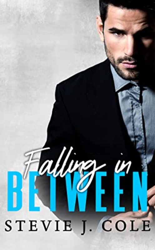 Book cover for "Falling in Between" by Stevie J Cole