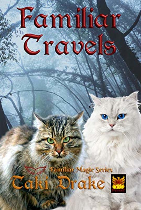 Book cover for "Familiar Travels" by Taki Drake