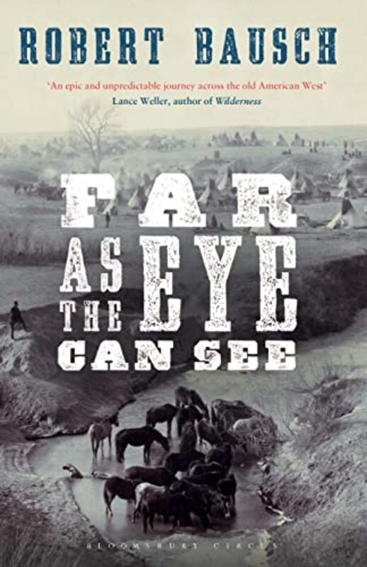 Robert Bausch book cover