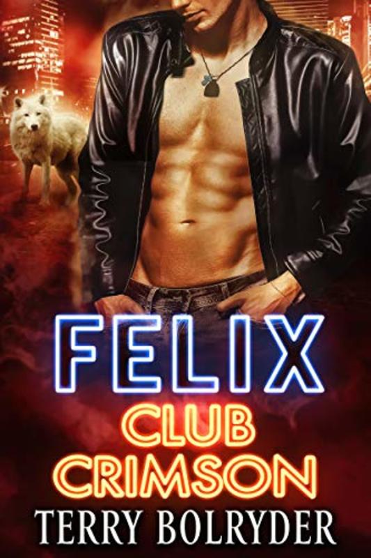Book cover for "Felix" by Terry Bolryder