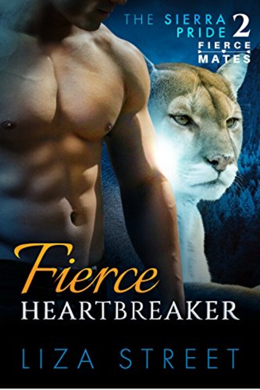 Book cover for "Fierce Heartbreaker" by Liza Street