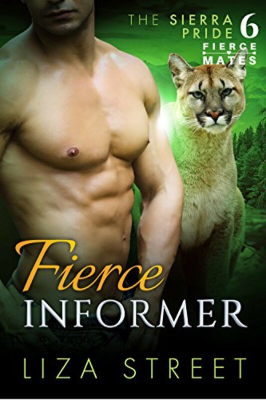Book cover for "Fierce Informer" by Liza Street