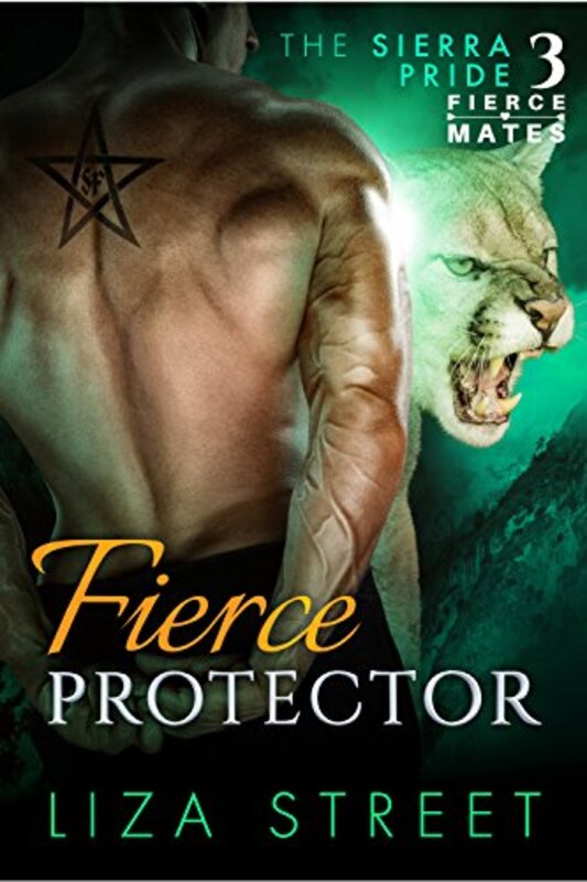 Book cover for "Fierce Protector" by Liza Street