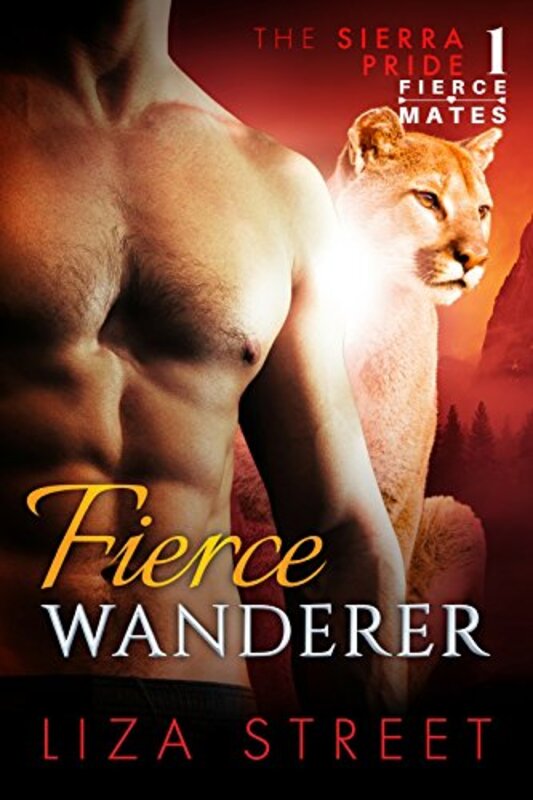 Book cover for "Fierce Wanderer" by Liza Street