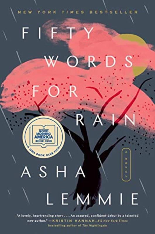 Asha Lemmie book cover