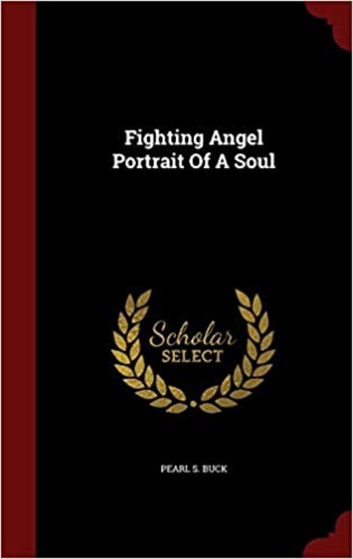 Book cover for "Fighting Angel" by Pearl S Buck