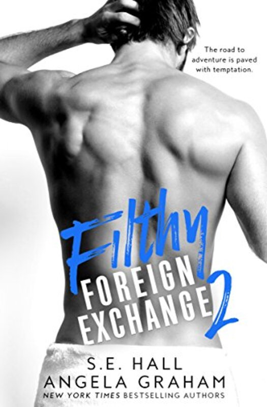 Book cover for "Filthy Foreign Exchange Book 2" by SE Hall