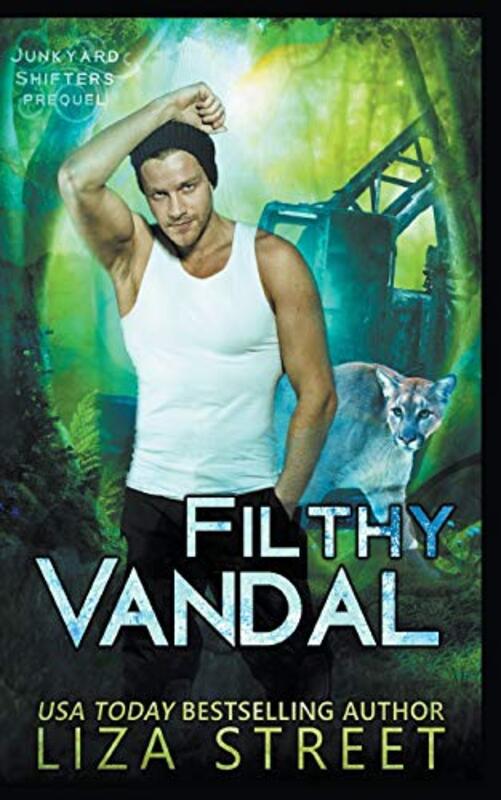Book cover for "Filthy Vandal" by Liza Street