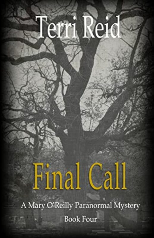 Book cover for "Final Call" by Terri Reid