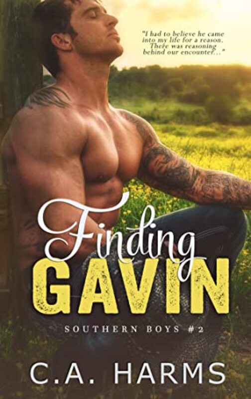Book cover for "Finding Gavin" by CA Harms