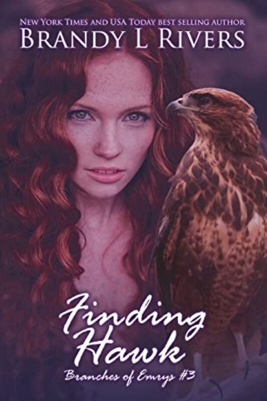 Book cover for "Finding Hawk" by Brandy L Rivers