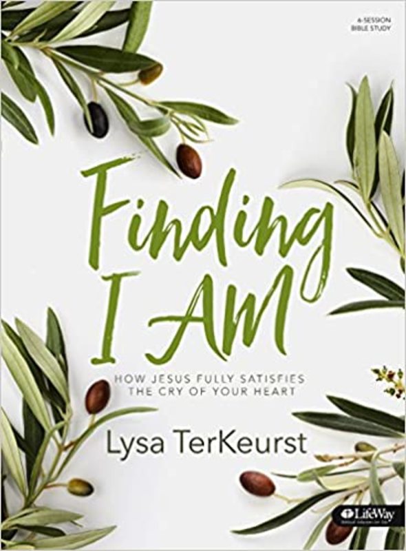 Book cover for "Finding I AM" by Lysa TerKeurst