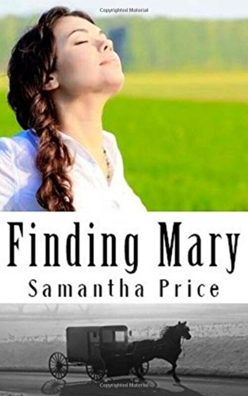 Book cover for "Finding Mary" by Samantha Price