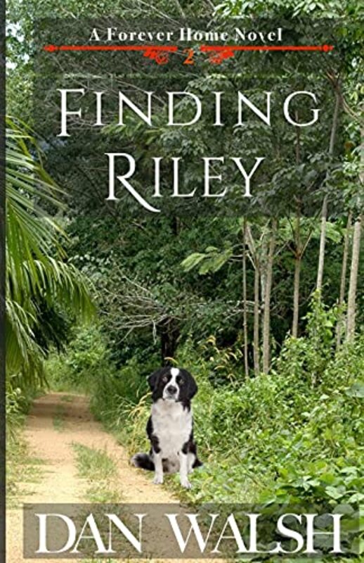 Book cover for "Finding Riley" by Dan Walsh