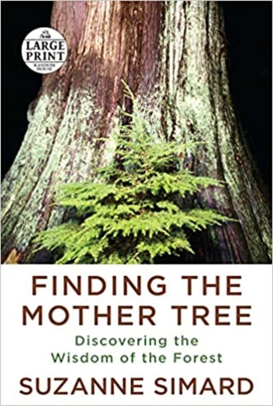 Book cover for "Finding the Mother Tree" by Suzanne Simard