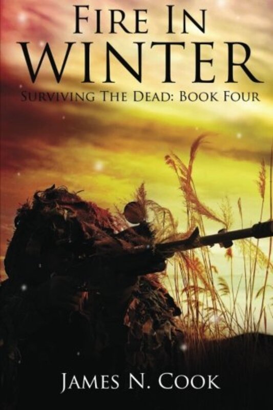 Book cover for "Fire in Winter" by James N Cook