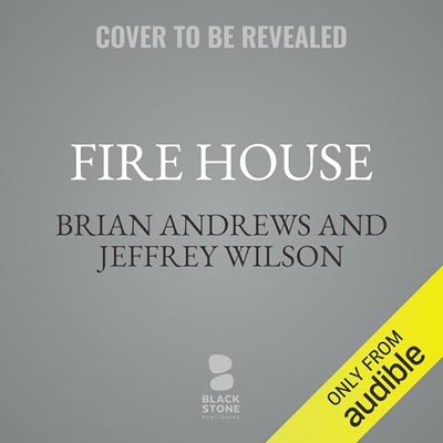 Brian Andrews book cover