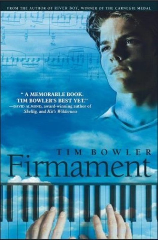 Book cover for "Firmament" by Tim Bowler