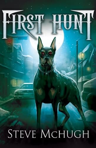 Steve McHugh book cover