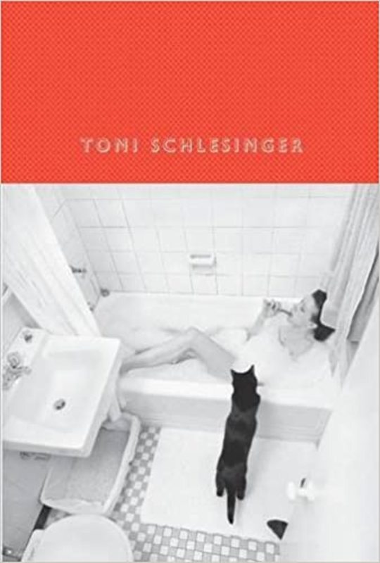 Book cover for "Five Flights Up" by Toni Schlesinger
