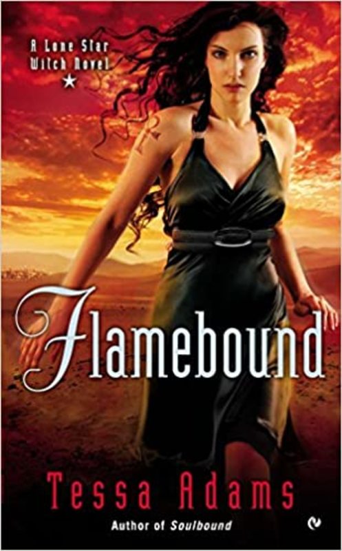 Book cover for "Flamebound" by Tracy Wolff