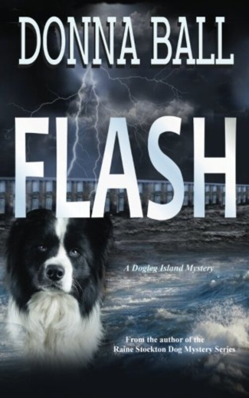 Book cover for "Flash" by Donna Ball