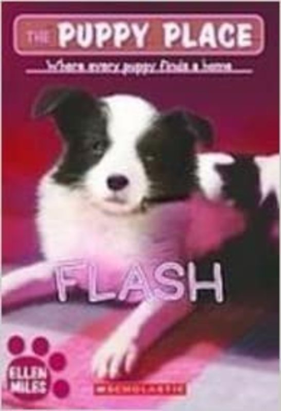 Book cover for "Flash" by Ellen Miles