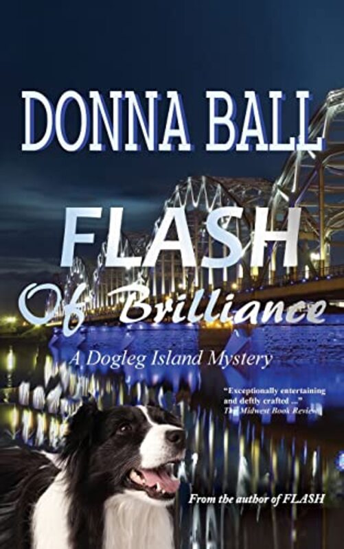 Book cover for "Flash of Brilliance" by Donna Ball