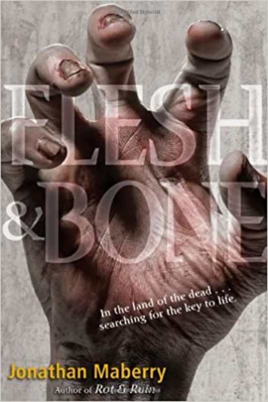 Benny Imura book cover