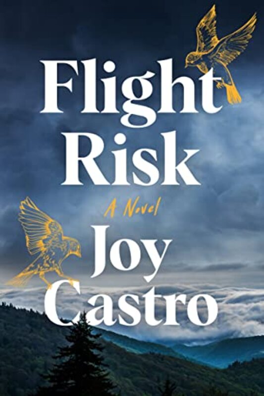 Book cover for "Flight Risk" by Joy Castro