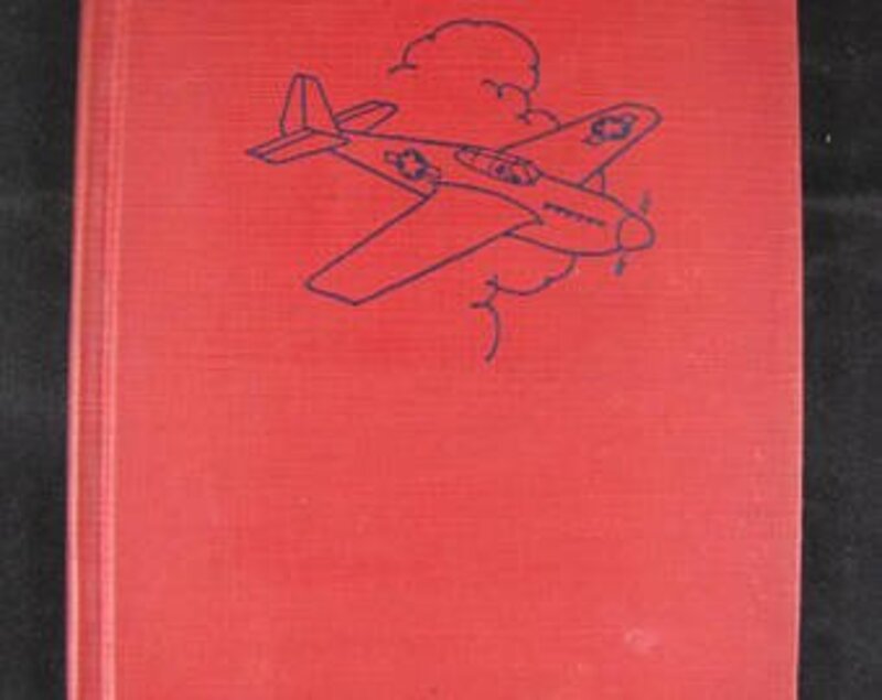 Book cover for "Flight into Danger" by F Van Wyck Mason