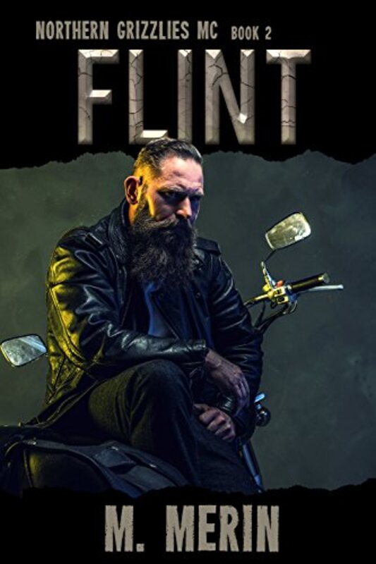 Book cover for "Flint" by M Merin