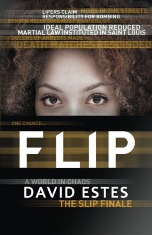 Book cover for "Flip" by David Estes