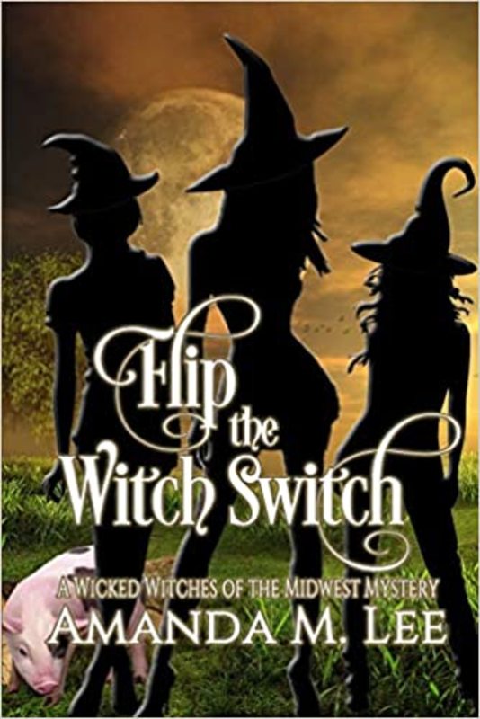 Book cover for "Flip the Witch Switch" by Amanda M Lee