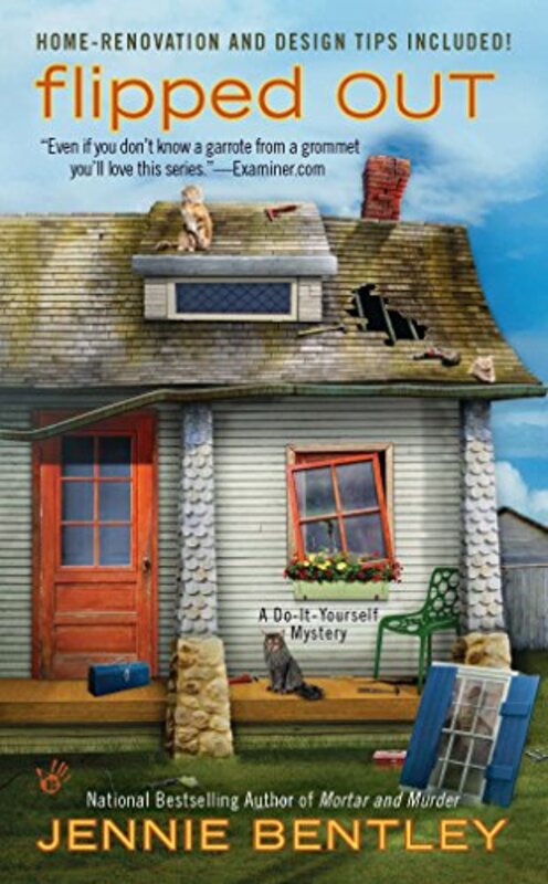 Do-It-Yourself Mysteries book cover