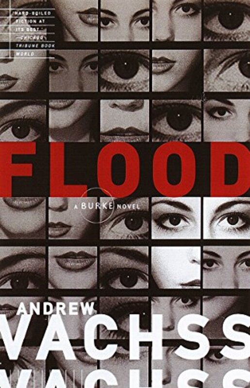 Book cover for "Flood" by Andrew Vachss