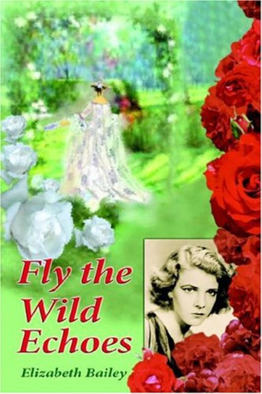 Book cover for "Fly the Wild Echoes" by Elizabeth Bailey