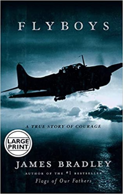 Book cover for "Flyboys" by James Bradley
