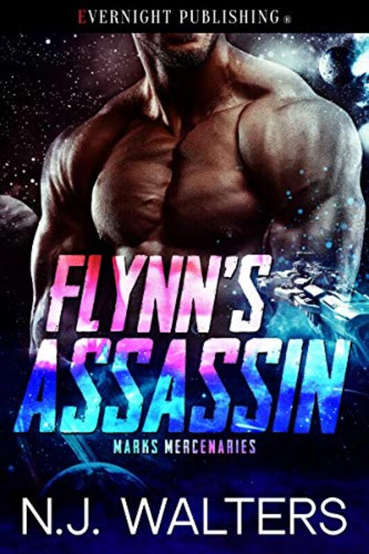 Book cover for "Flynn's Assassin" by NJ Walters