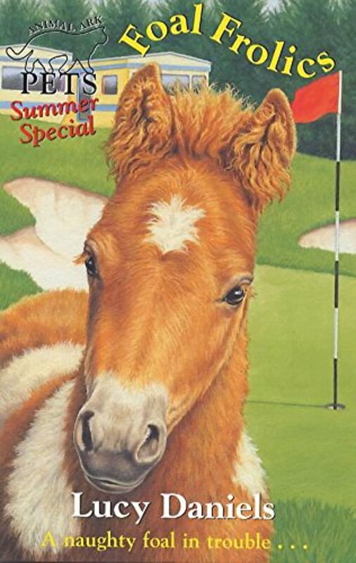 Book cover for "Foal Frolics" by Lucy Daniels