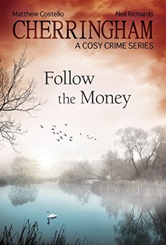 Book cover for "Follow the Money" by Neil Richards