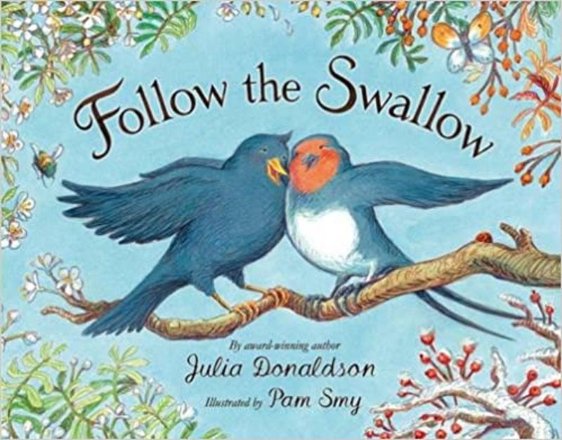 Book cover for "Follow the Swallow" by Julia Donaldson