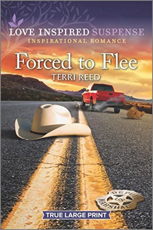 Terri Reed book cover